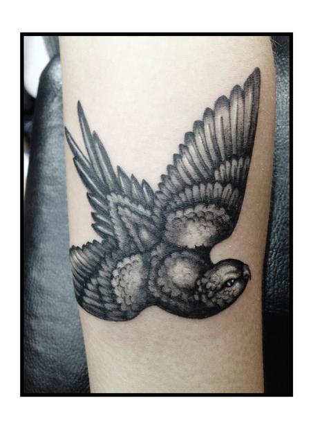tattoos/ - Bird - 99117